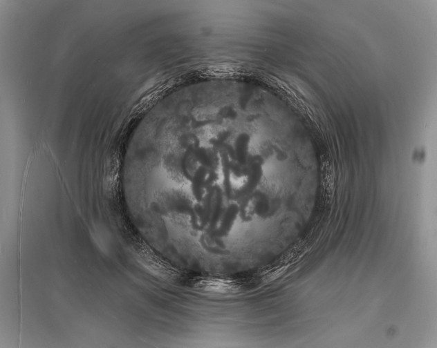 X0000096390507200801241305