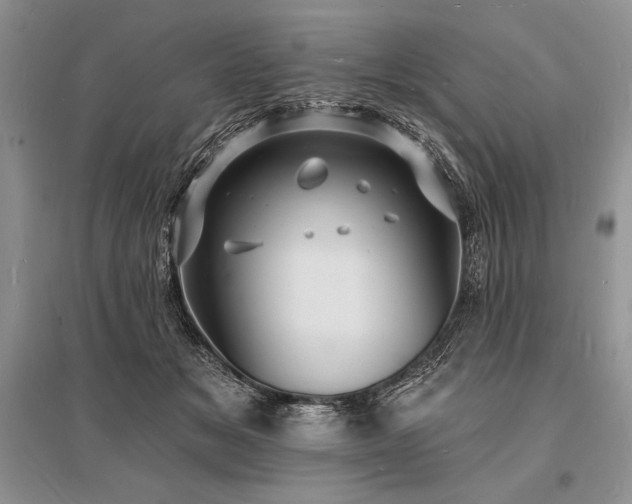 X0000096390509200801241305