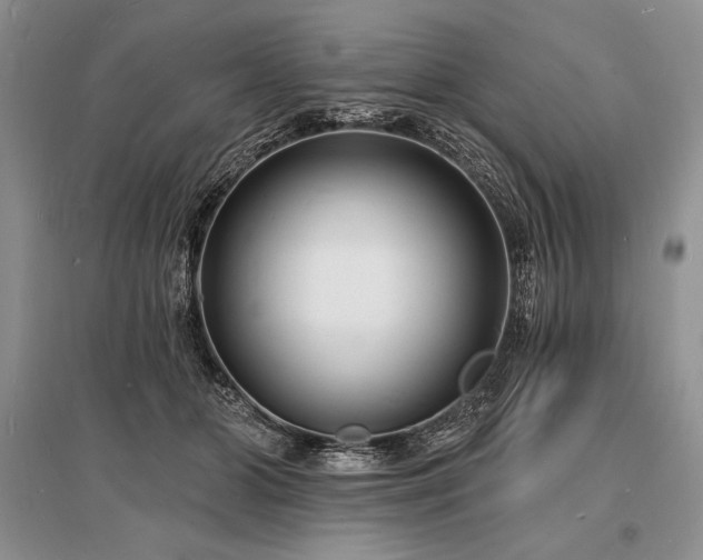 X0000096390510200801241305
