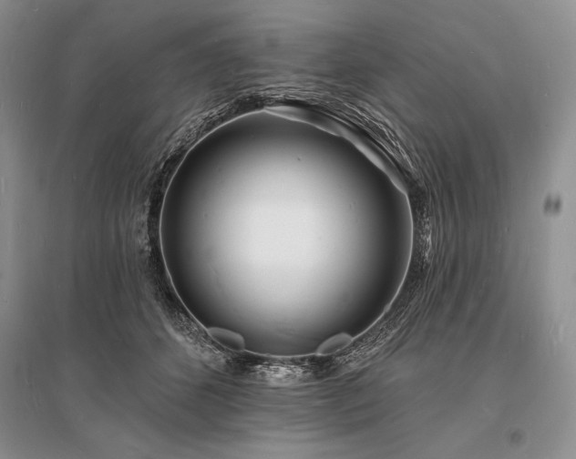 X0000096390512200801241305