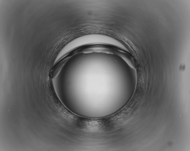 X0000096390513200801241305