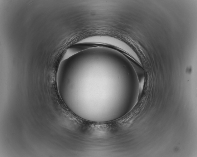 X0000096390517200801241305