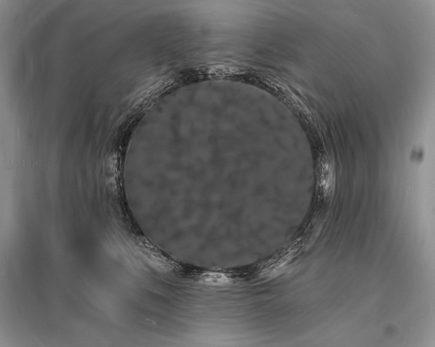 X0000096390519200801241305