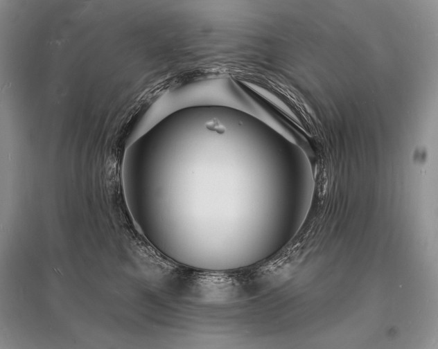 X0000096390521200801241305