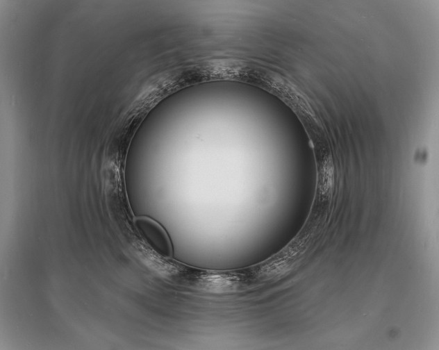 X0000096390522200801241305