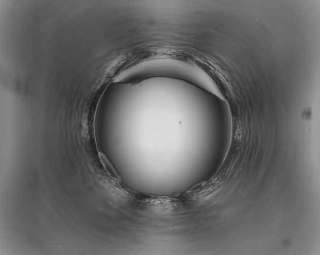 X0000096390524200801241305