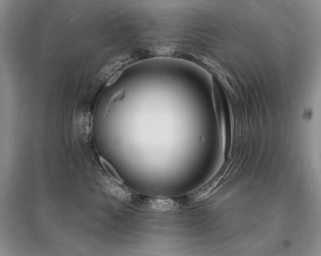 X0000096390525200801241305