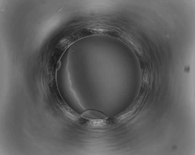 X0000096390526200801241305