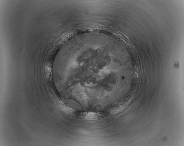 X0000096390527200801241305