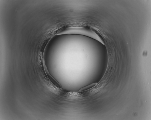 X0000096390528200801241305