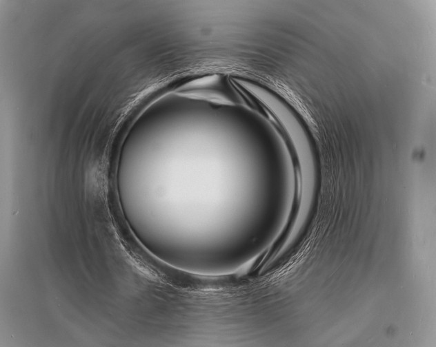 X0000096390530200801241304