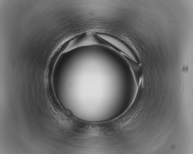 X0000096390531200801241304