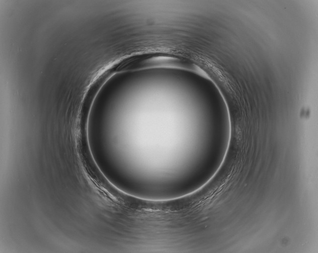 X0000096390532200801241304