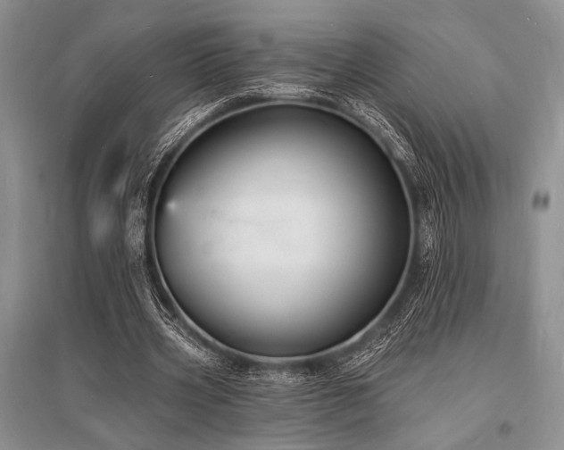 X0000096390533200801241304