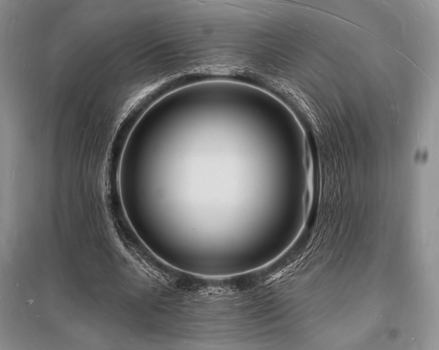 X0000096390536200801241304