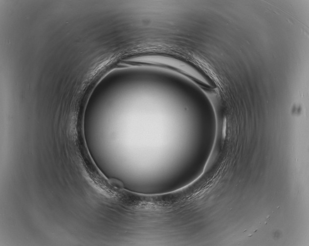 X0000096390538200801241304