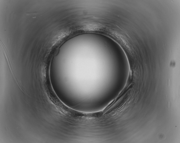 X0000096390539200801241304