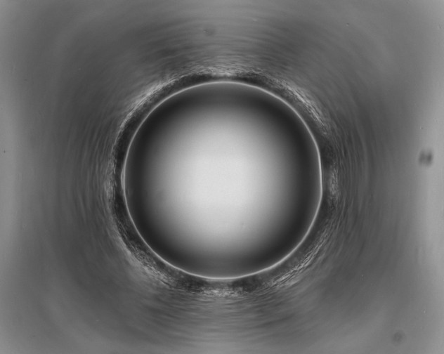 X0000096390540200801241304