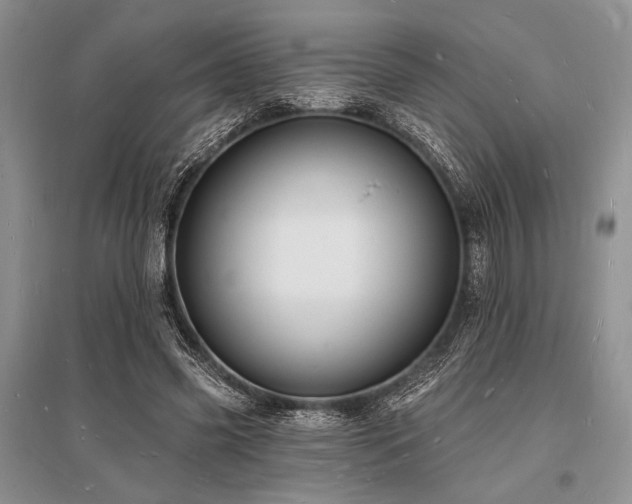 X0000096390541200801241304
