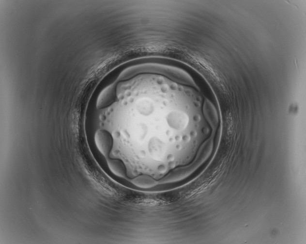 X0000096390542200801241304