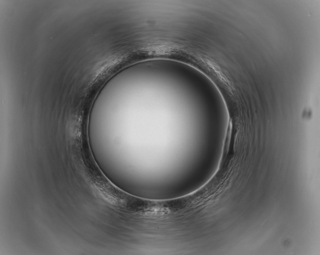 X0000096390543200801241304