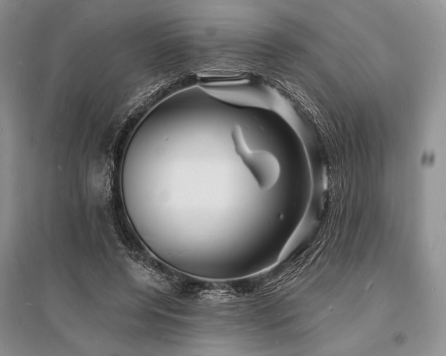 X0000096390544200801241304