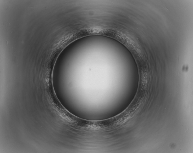 X0000096390545200801241304