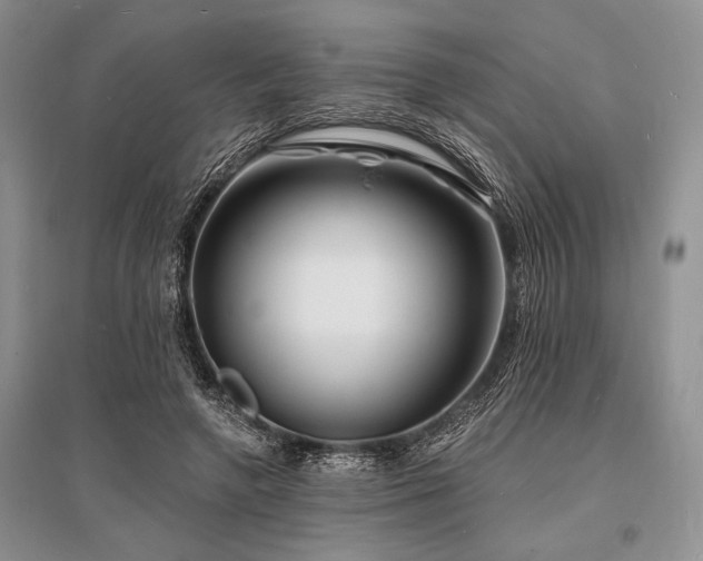 X0000096390546200801241304