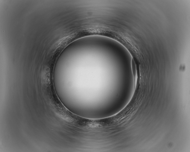 X0000096390547200801241304