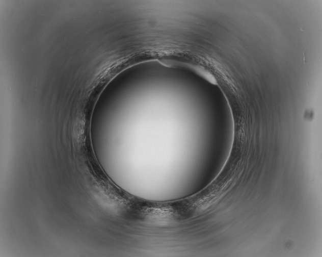 X0000096390548200801241304