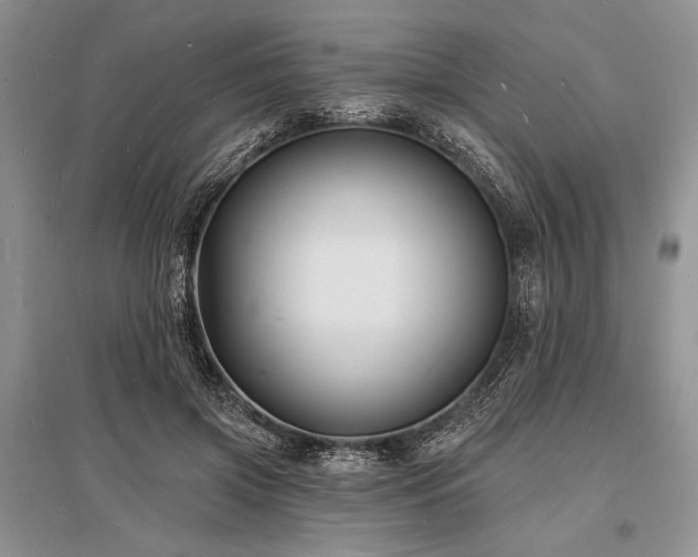 X0000096390549200801241304