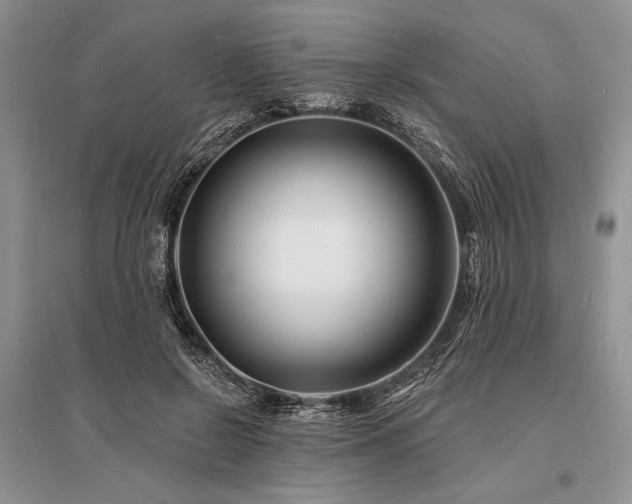 X0000096390550200801241304
