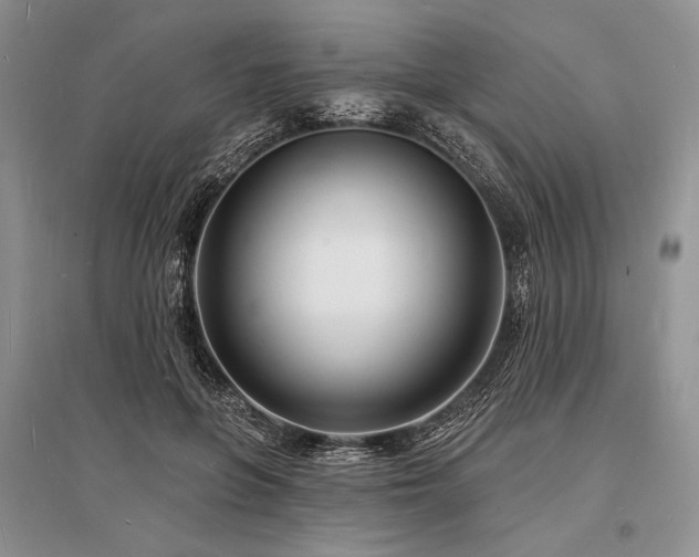 X0000096390551200801241304