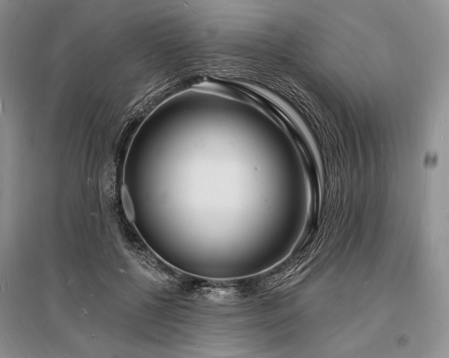 X0000096390552200801241304
