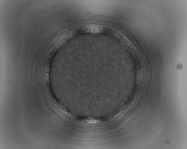 X0000096390553200801241304