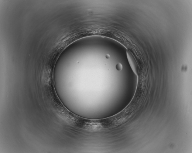 X0000096390554200801241305