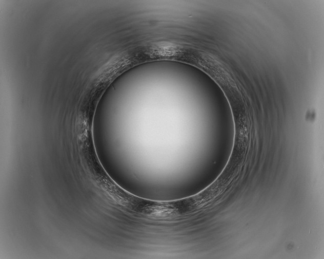 X0000096390555200801241305