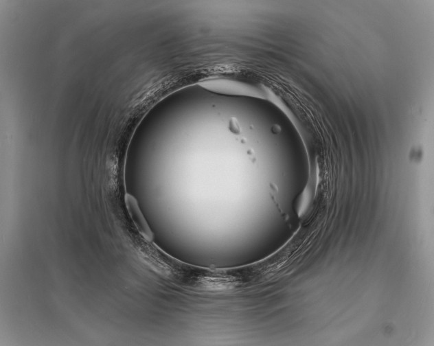 X0000096390556200801241305