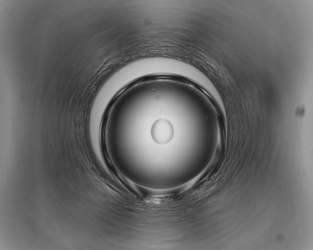 X0000096390558200801241305