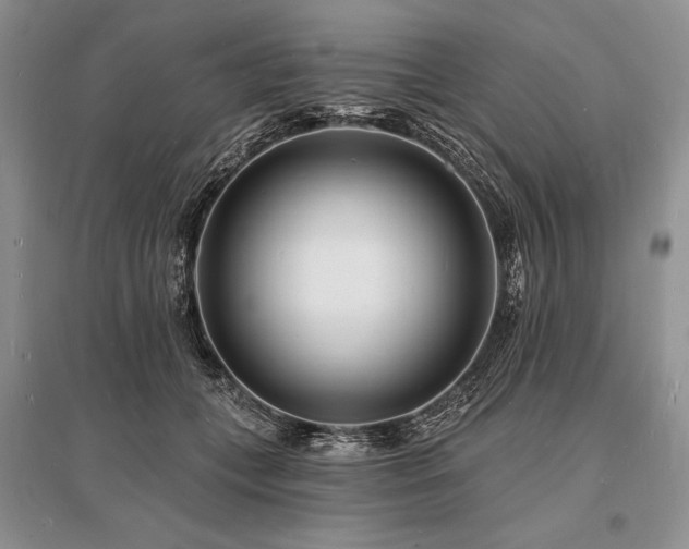 X0000096390559200801241305