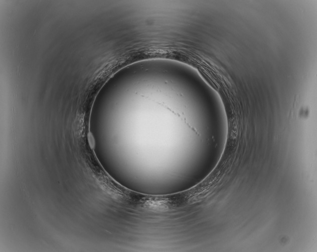 X0000096390560200801241305