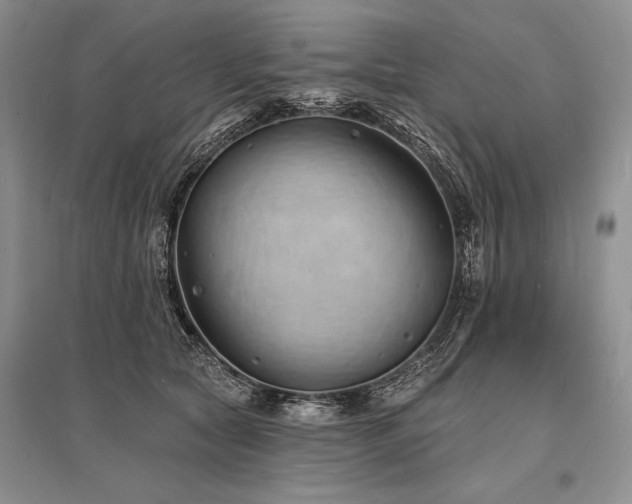 X0000096390561200801241305