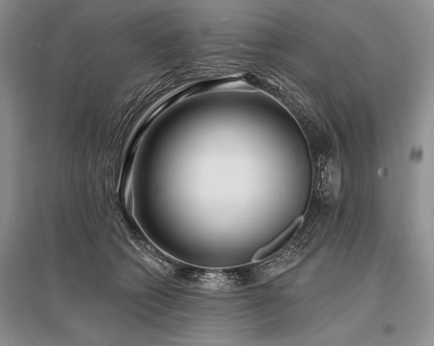 X0000096390562200801241305
