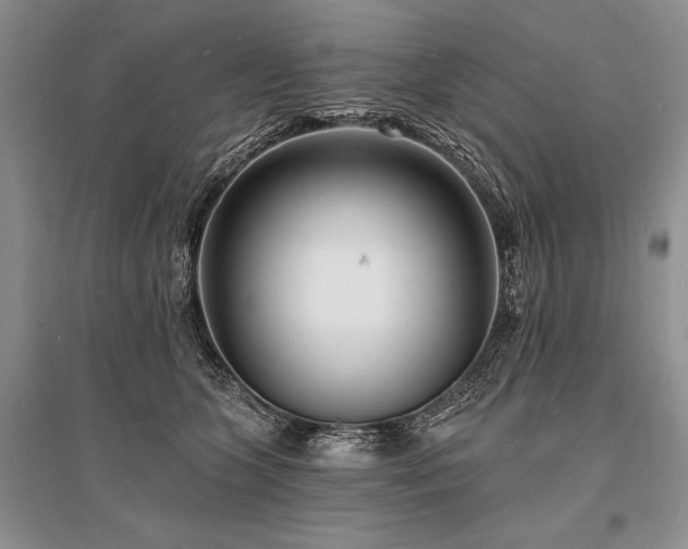 X0000096390563200801241305