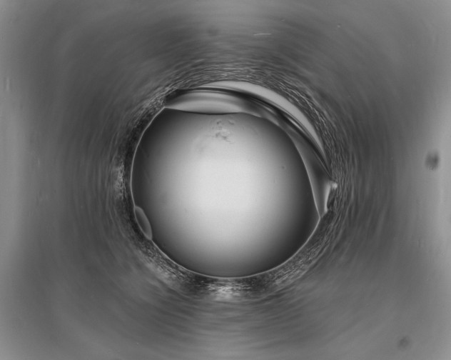 X0000096390564200801241305