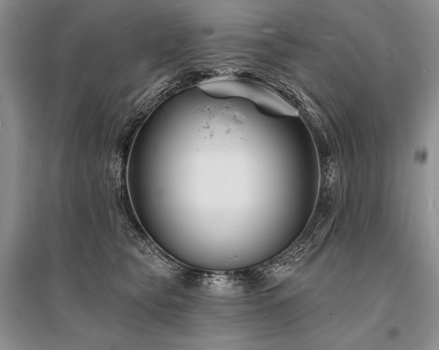 X0000096390565200801241305
