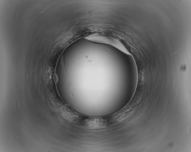 X0000096390567200801241305