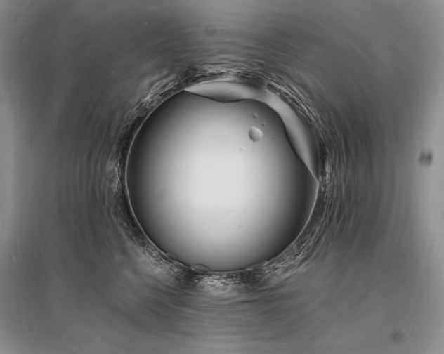 X0000096390568200801241305