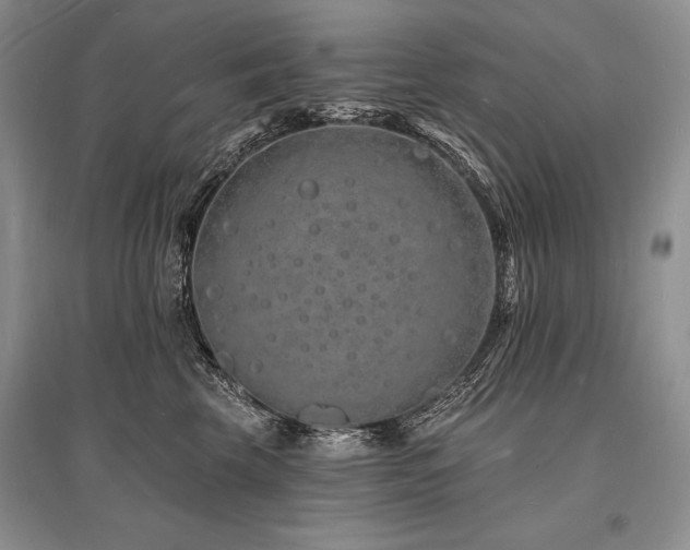X0000096390569200801241305