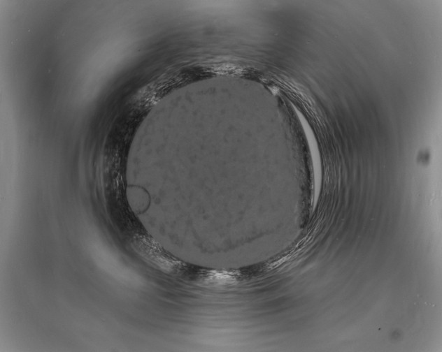 X0000096390573200801241305